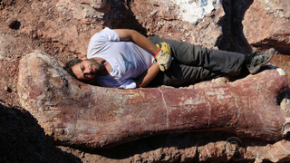 Palaeontologists Next To Dinosaur Bones